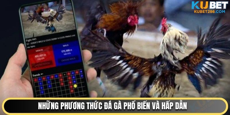 Những phương thức đá gà phổ biến và hấp dẫn