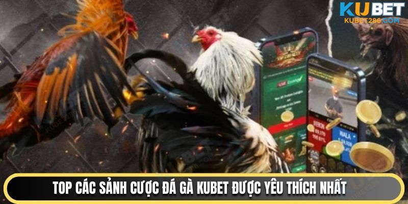 Top các sảnh cược đá gà KUBET được yêu thích nhất