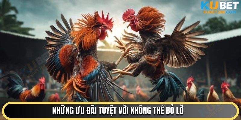 Những ưu đãi tuyệt vời không thể bỏ lỡ