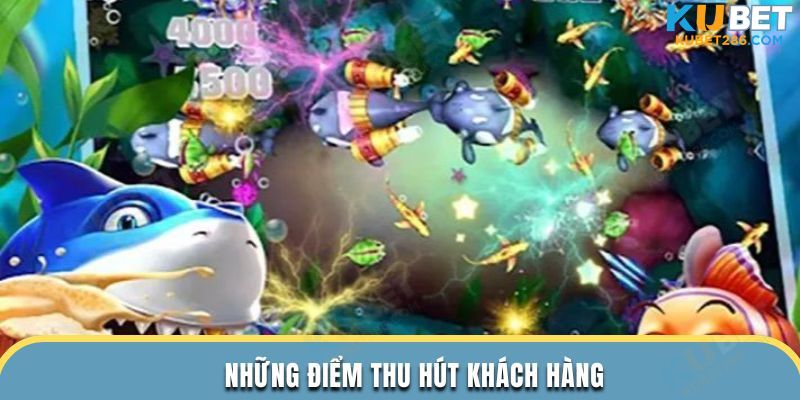 Những điểm thu hút khách hàng