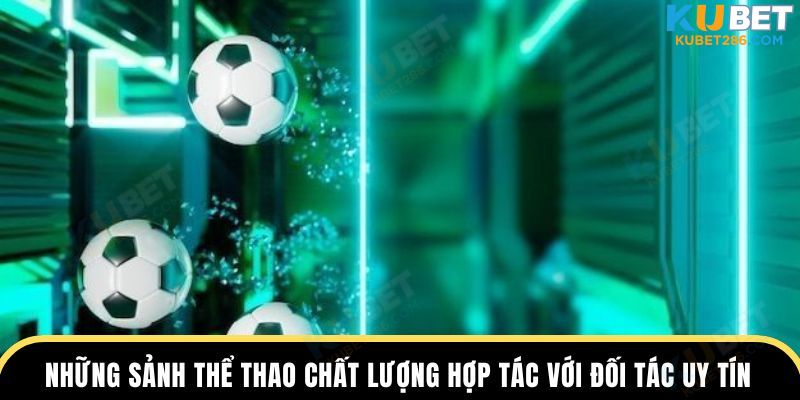 Những sảnh thể thao chất lượng hợp tác với đối tác uy tín